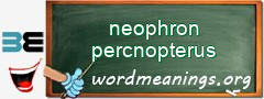 WordMeaning blackboard for neophron percnopterus